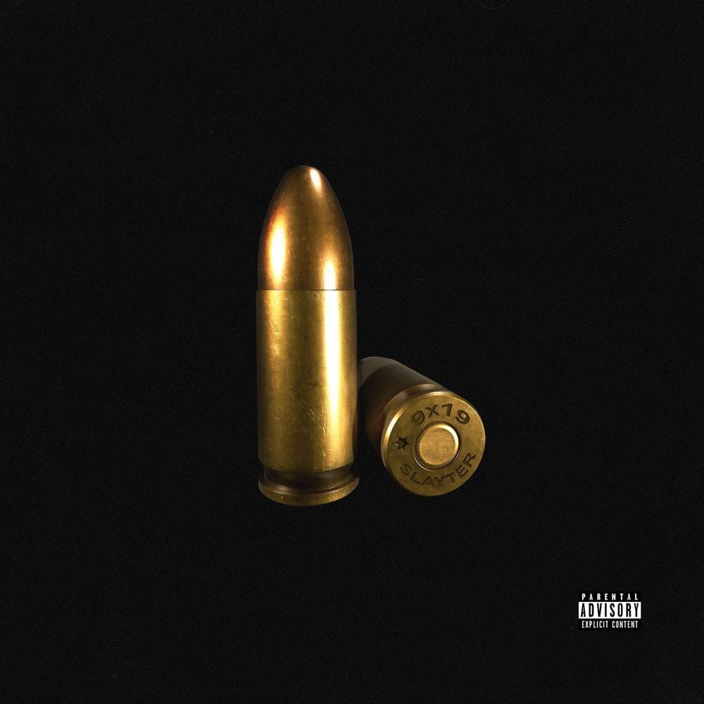 9x19 cover