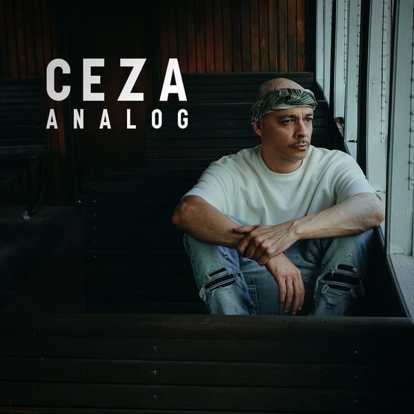 Analog album cover