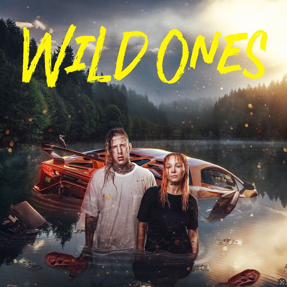 Wild Ones cover
