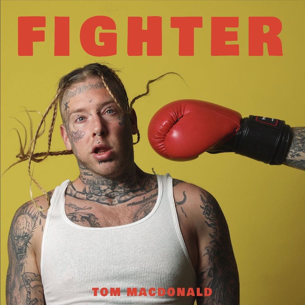 Fighter cover
