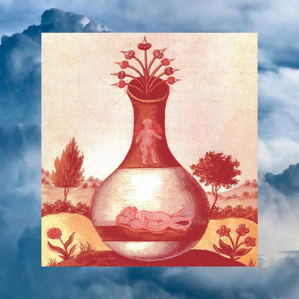 Géranium cover