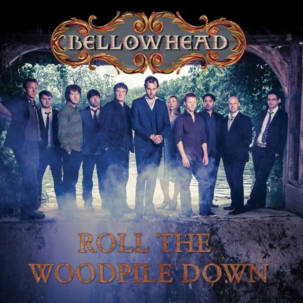 Roll the Woodpile Down cover
