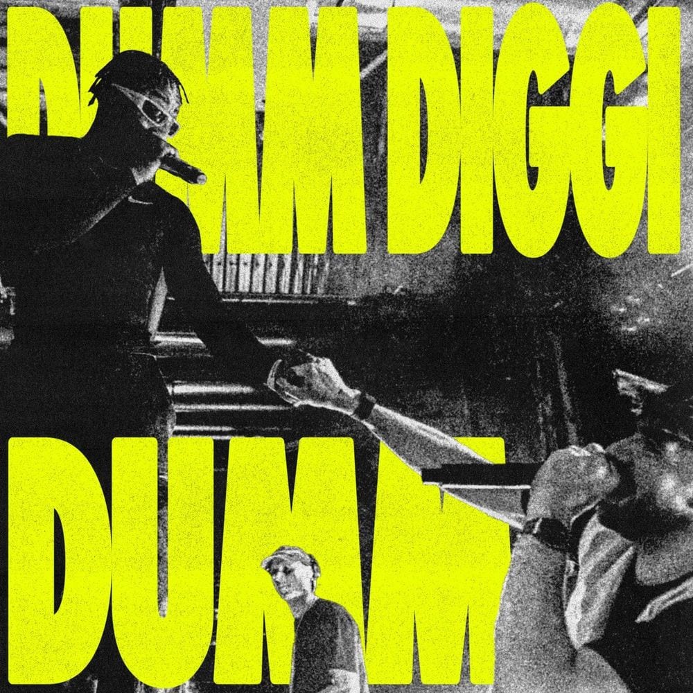 Dumm Diggi Dumm cover