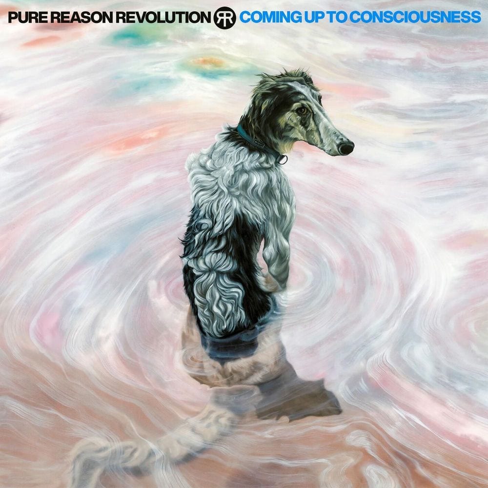 Coming Up To Consciousness cover
