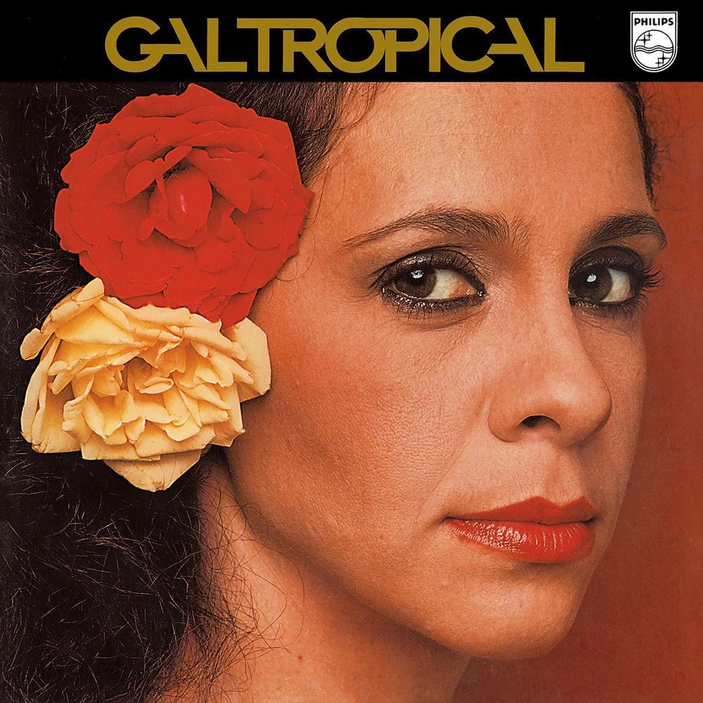 Gal tropical cover