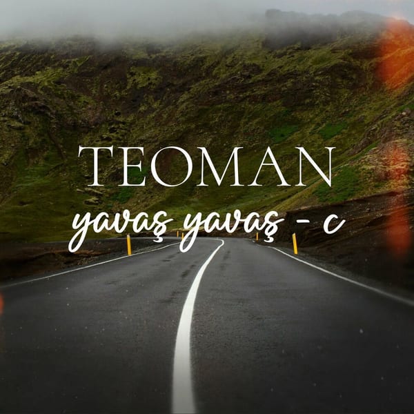 Yavaş Yavaş - C cover