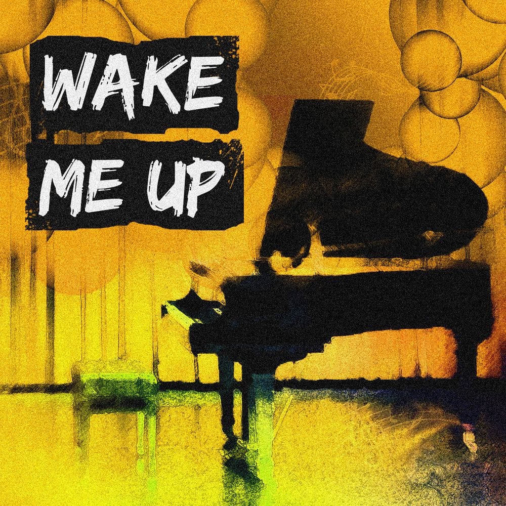 Wake Me Up cover