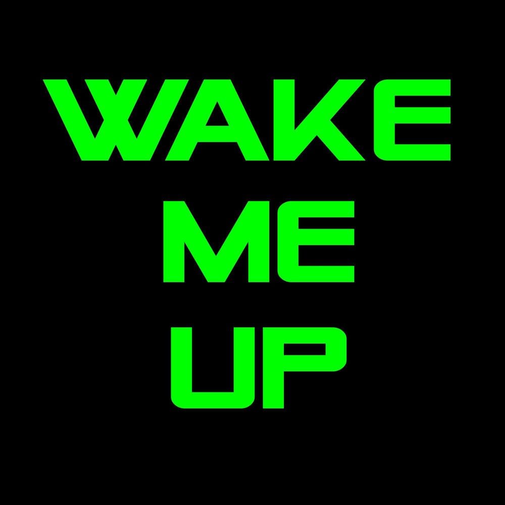 Wake Me up When It's All Over cover
