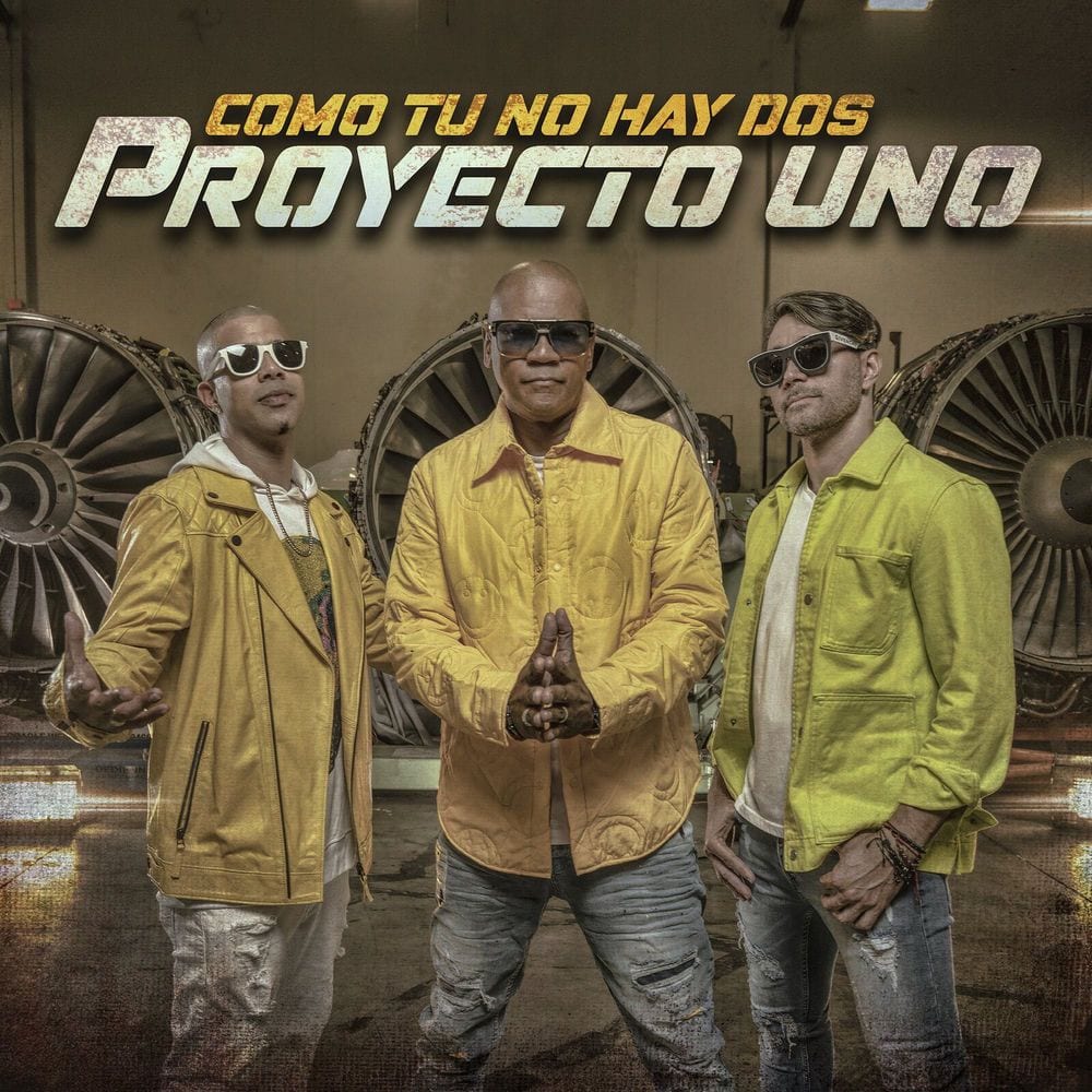Como Tu No Hay Dos cover