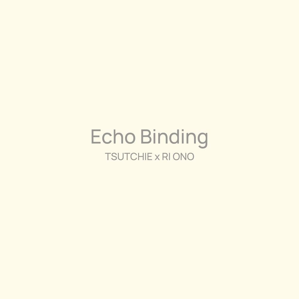 Echo Binding cover