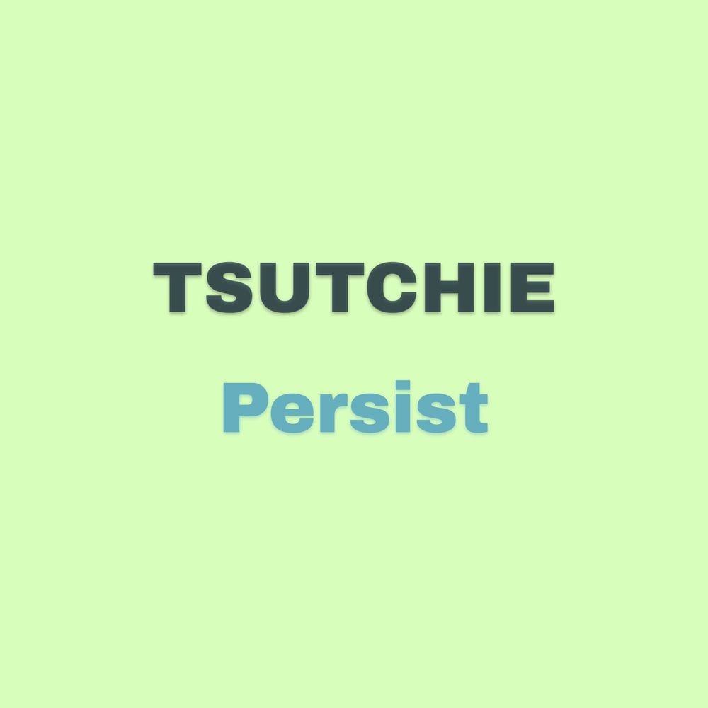 Persist cover