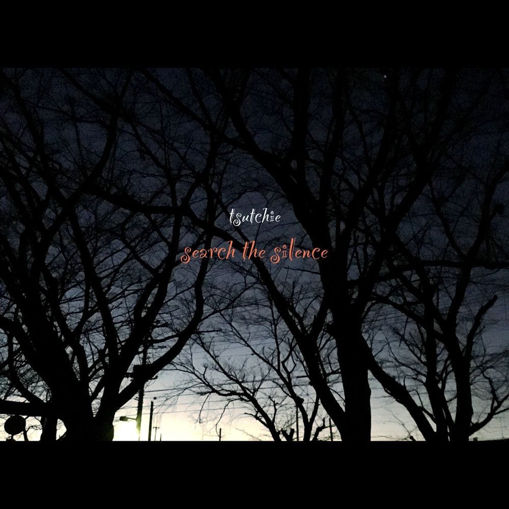 Search The Silence cover