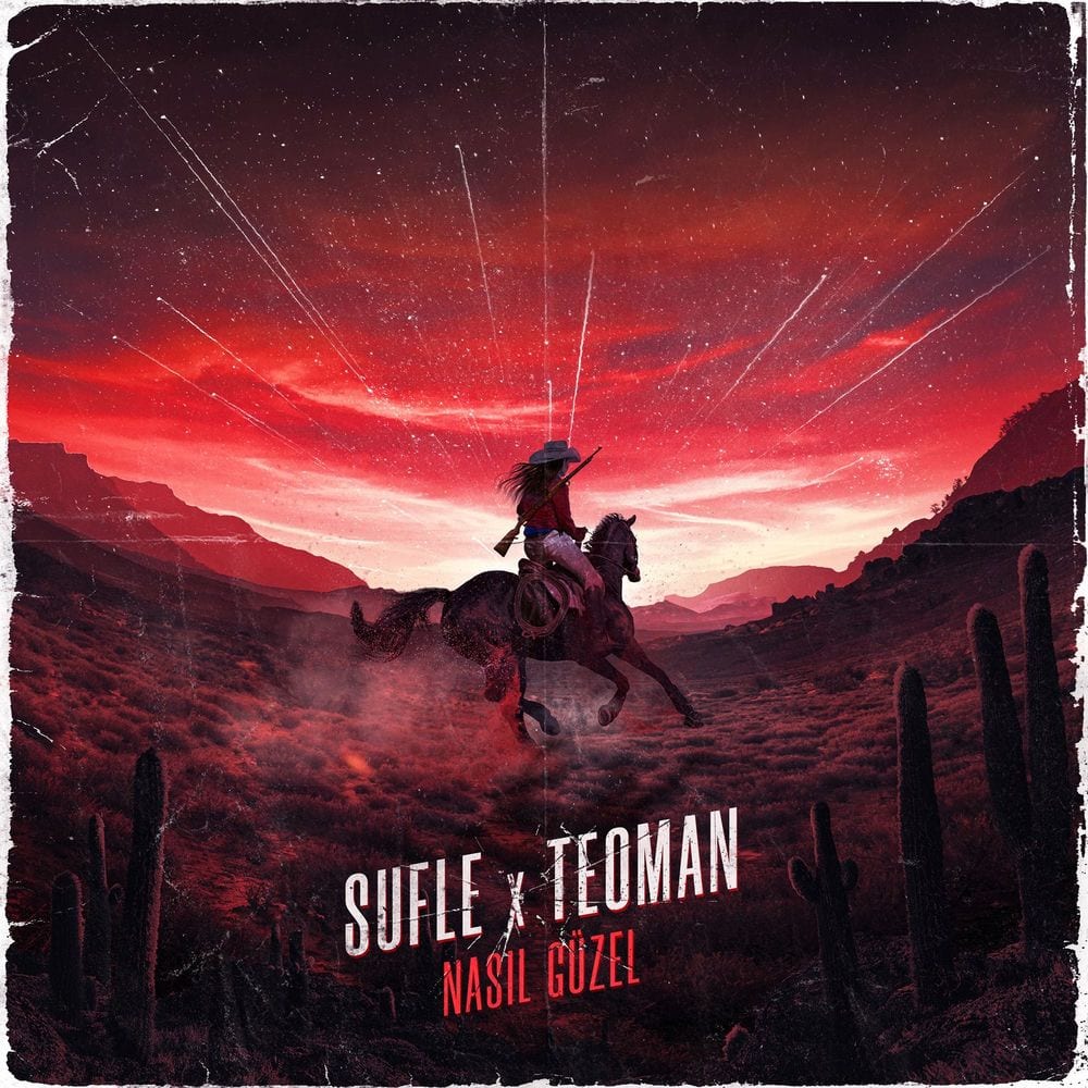 Nasıl Güzel cover