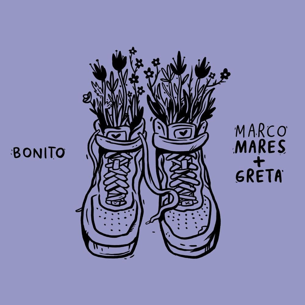 Bonito cover