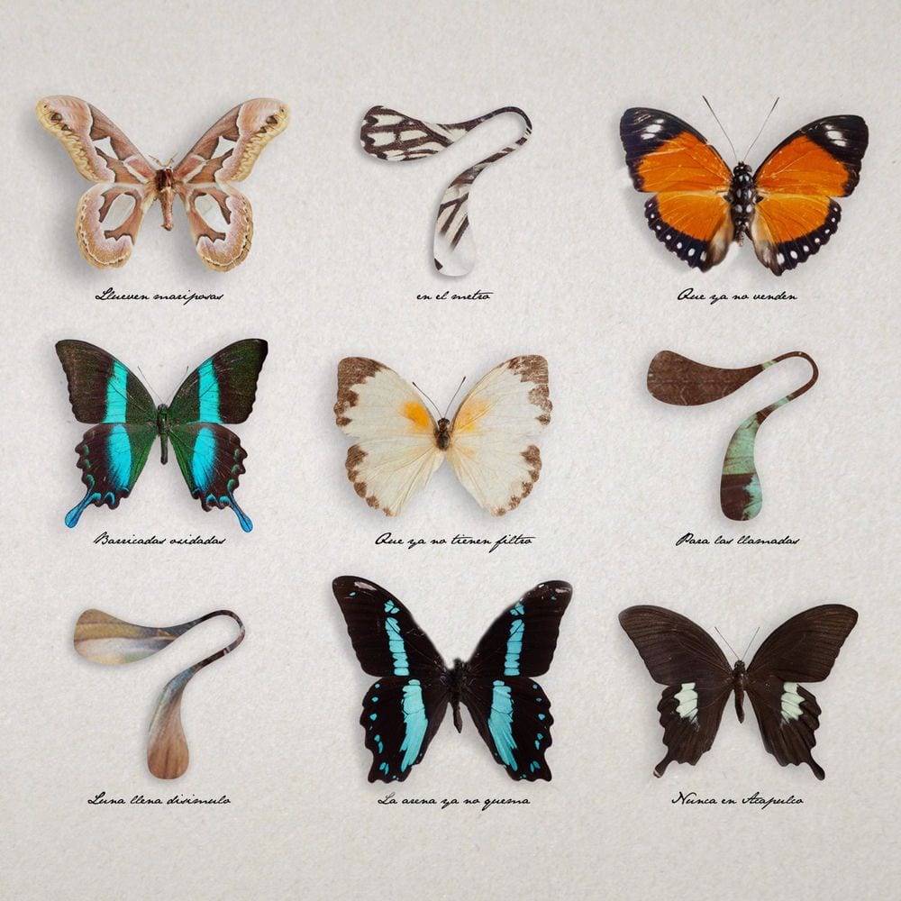 Mariposas (Studio Live) cover