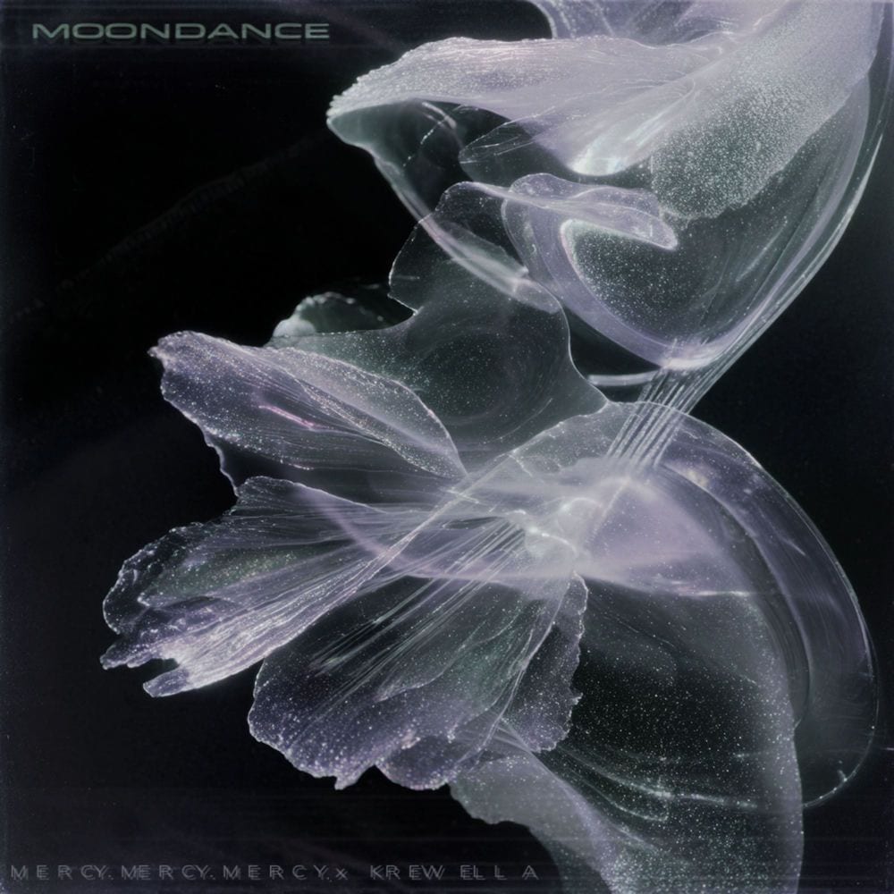Moondance cover