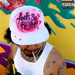 FEELS SO RIGHT album cover