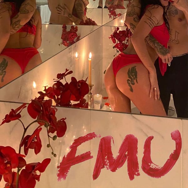 FMU album cover
