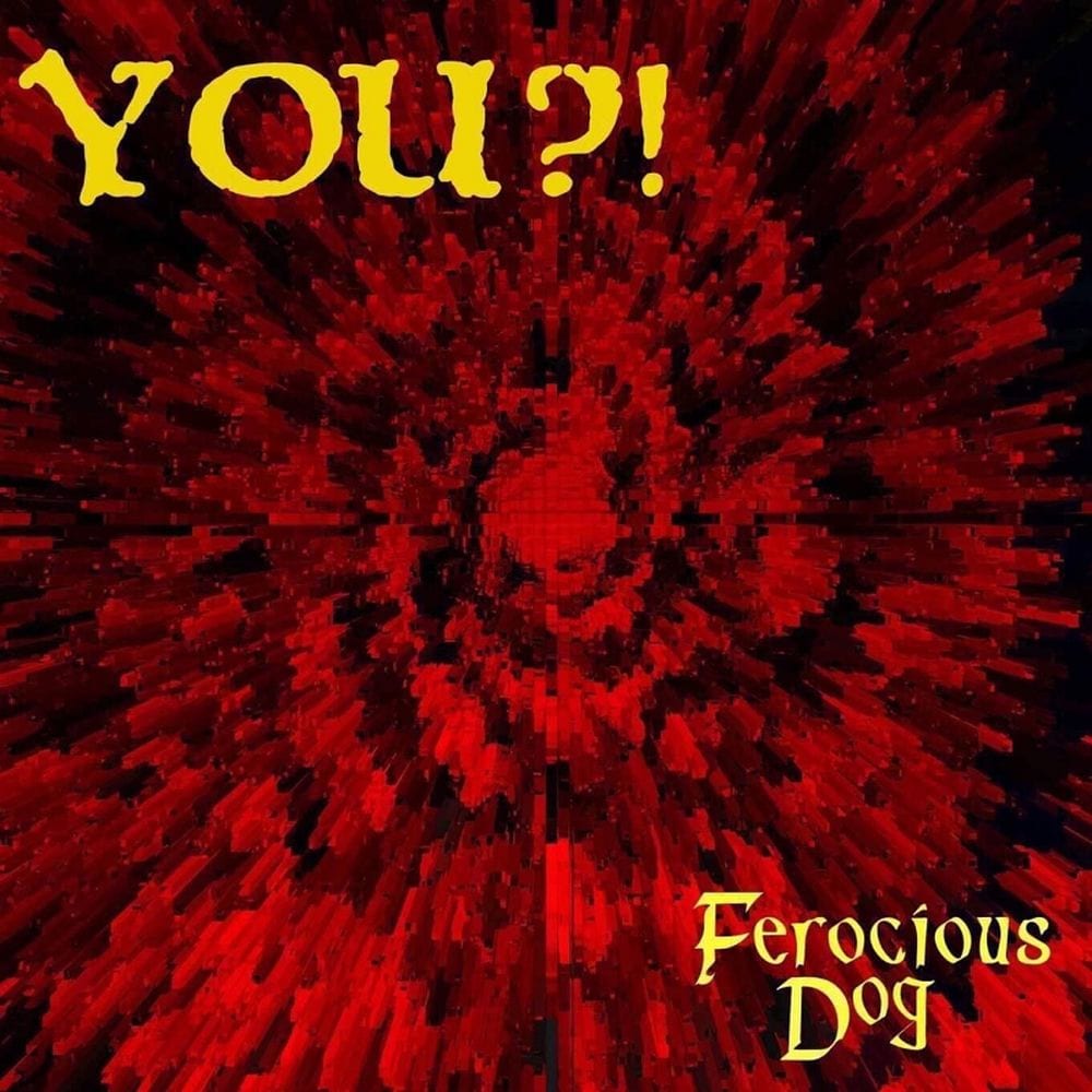 You?! cover