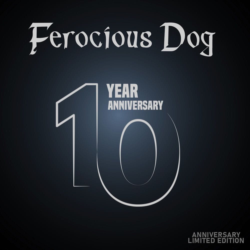 10 Year Anniversary cover