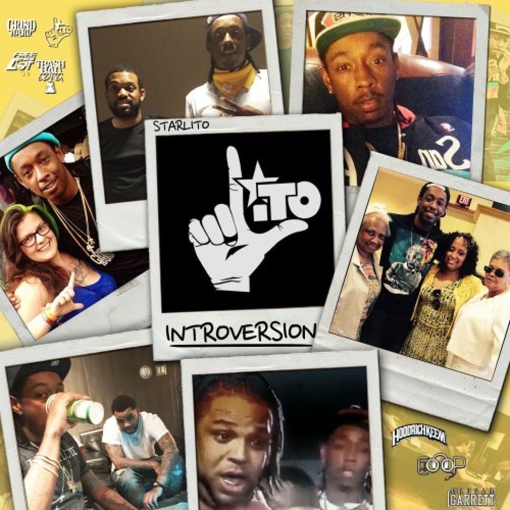 Introversion cover