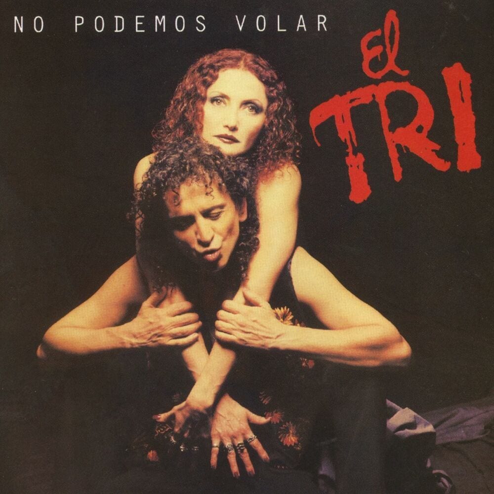 No Podemos Volar cover