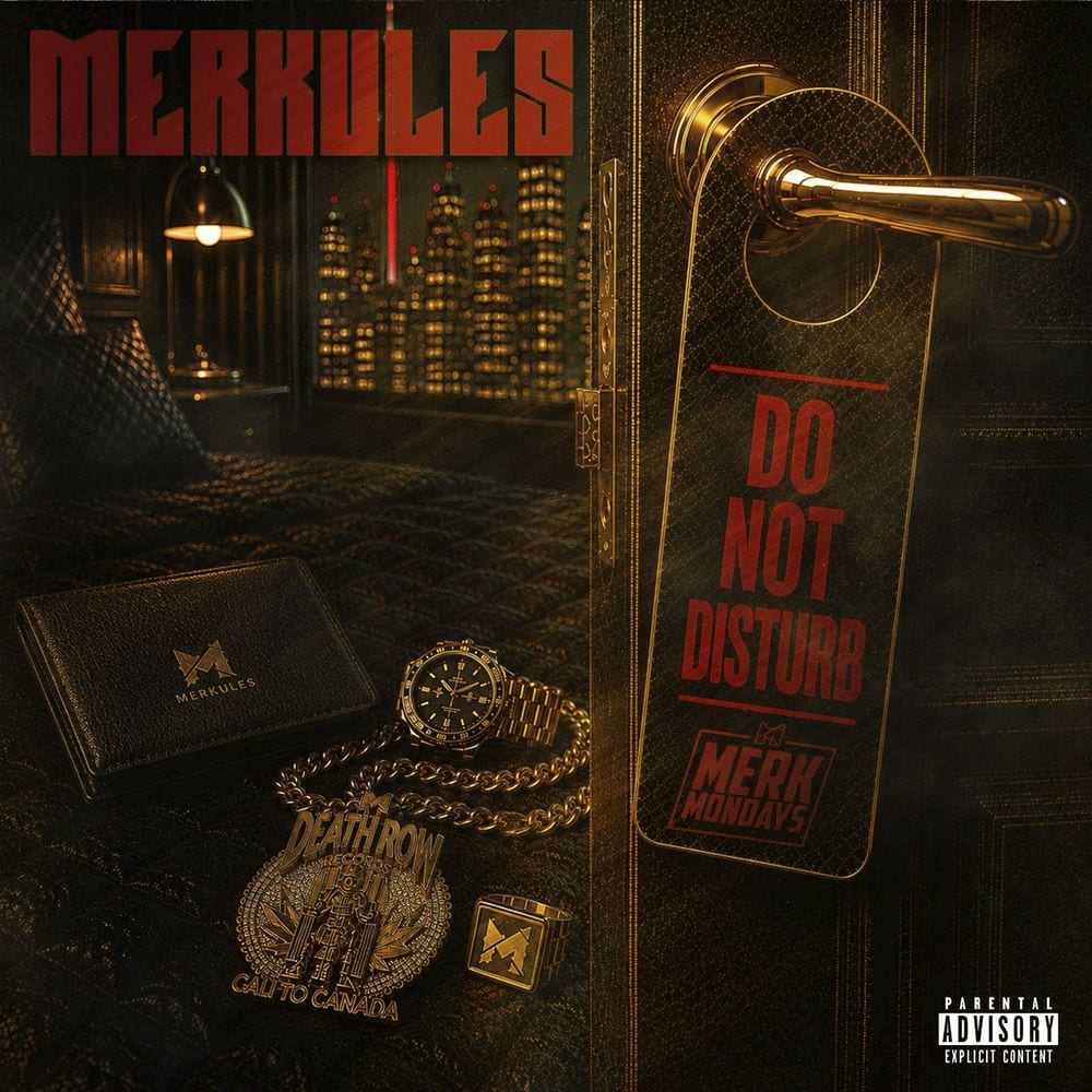 Do Not Disturb cover
