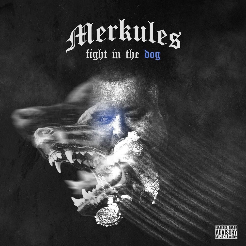 Fight in the Dog cover