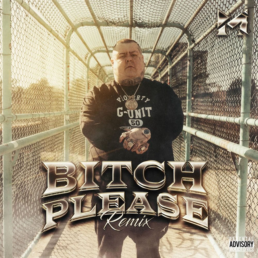 Bitch Please (Remix) cover