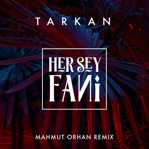 Her Şey Fani (Mahmut Orhan Remix) cover