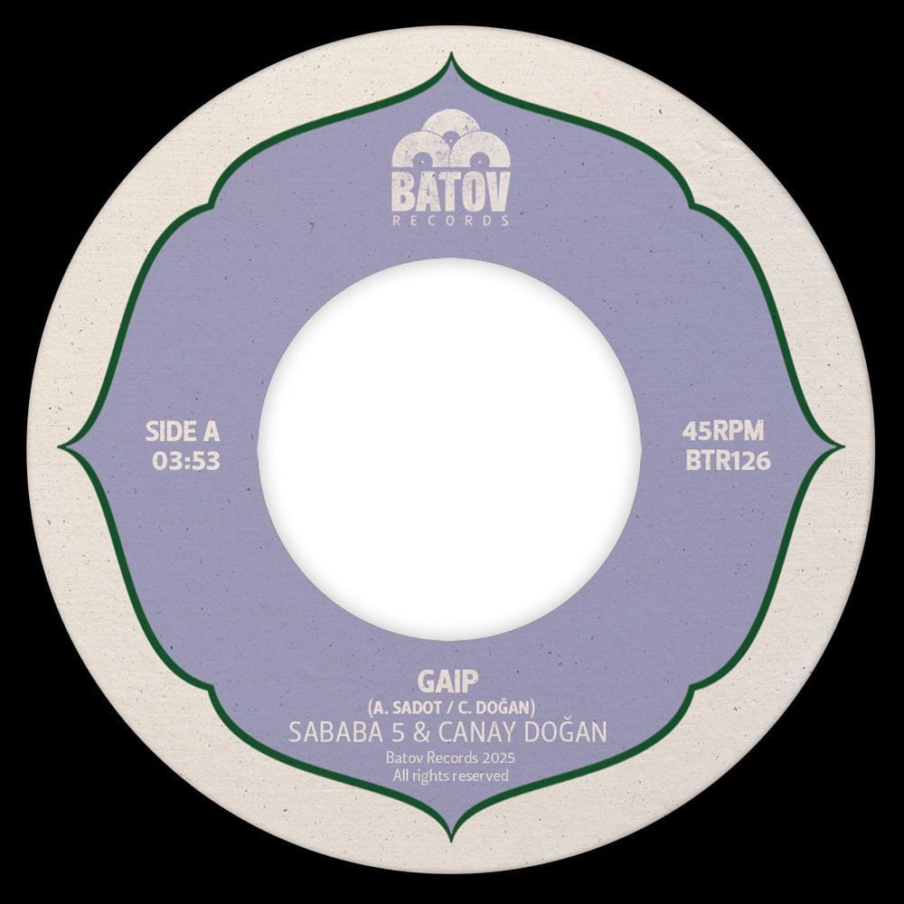 Gaip cover