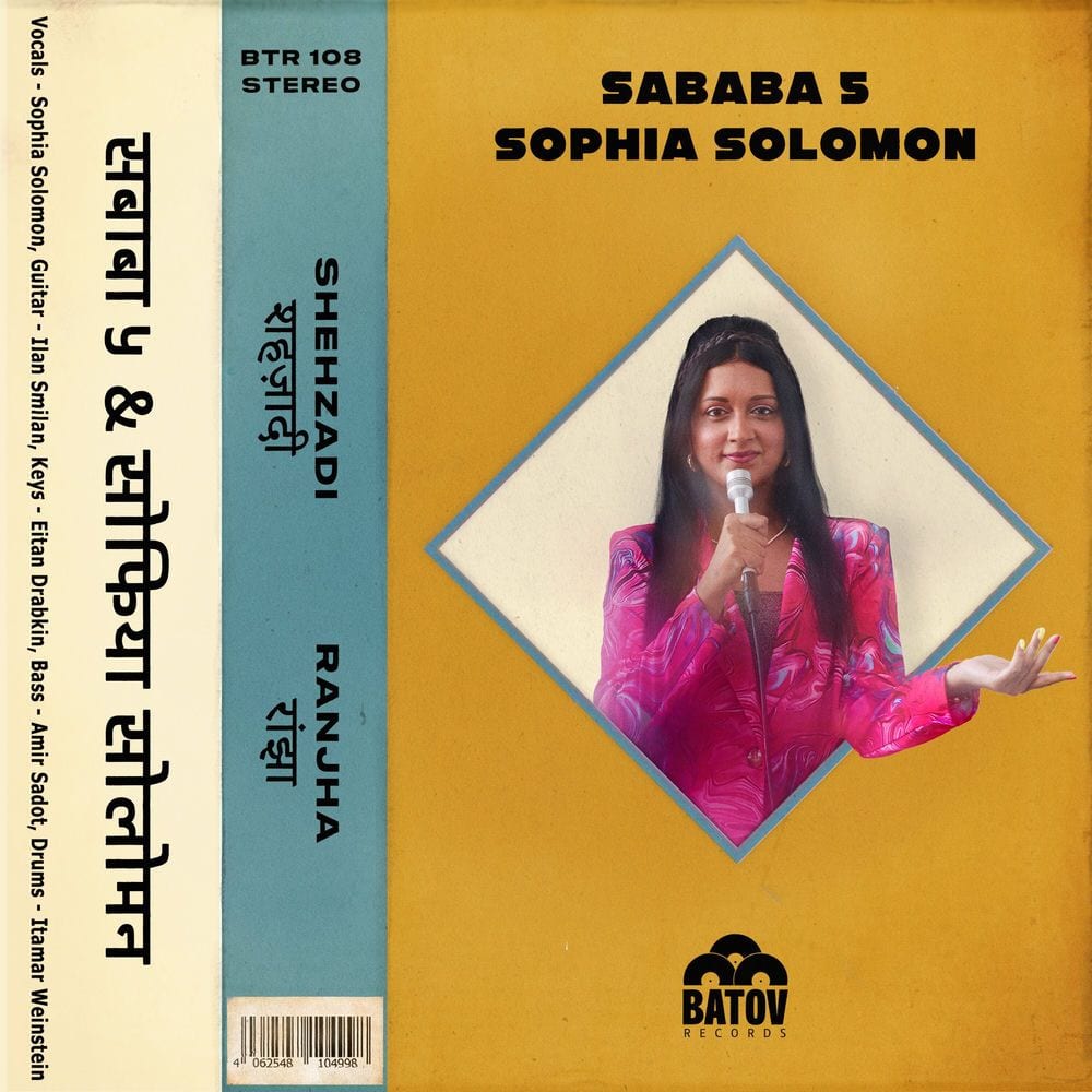 Shehzadi - शहज़ादी / Ranjha - रांझा cover