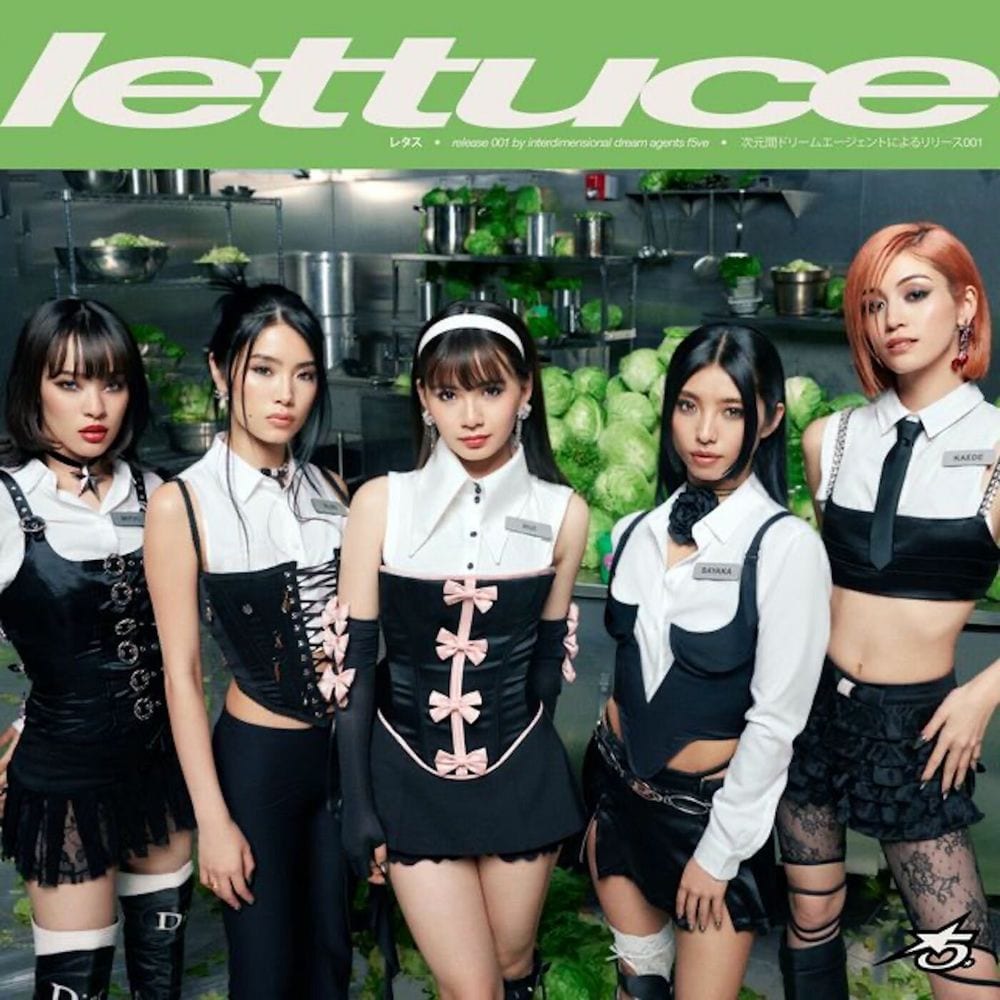 Lettuce cover