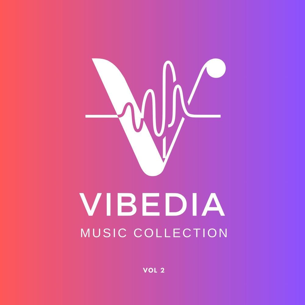 Vibedia Music Collection - Vol. 2 cover