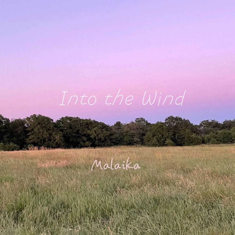 Into the Wind cover