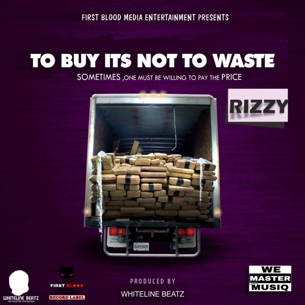 Rizzy - TO BUY IT'S NOT TO WASTE cover