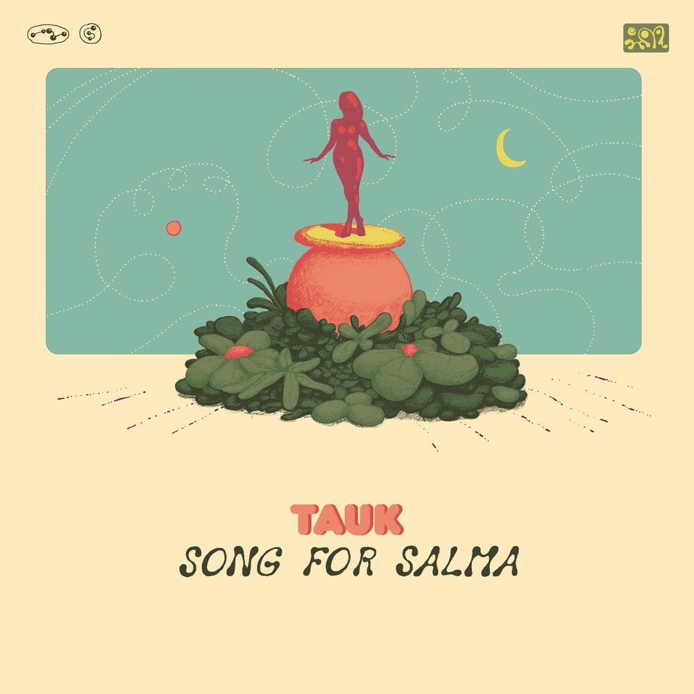 Song For Salma cover