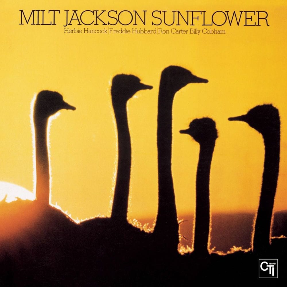 Sunflower cover