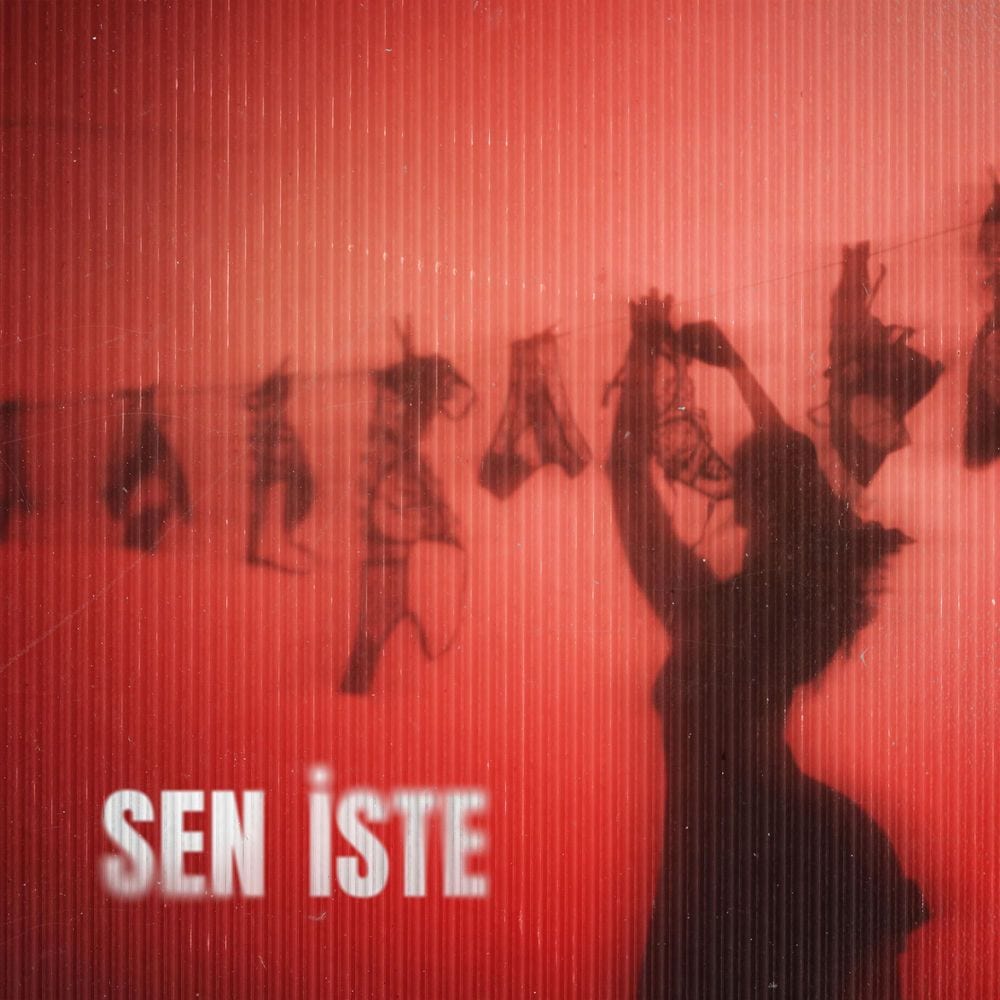 Sen İste cover