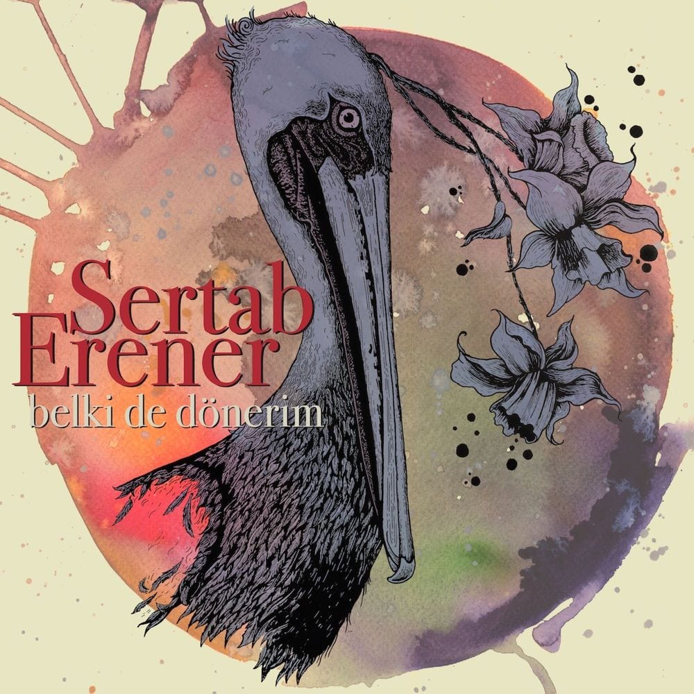 Belki De Dönerim cover
