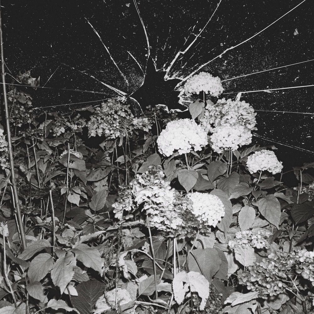 kontrollverlust cover