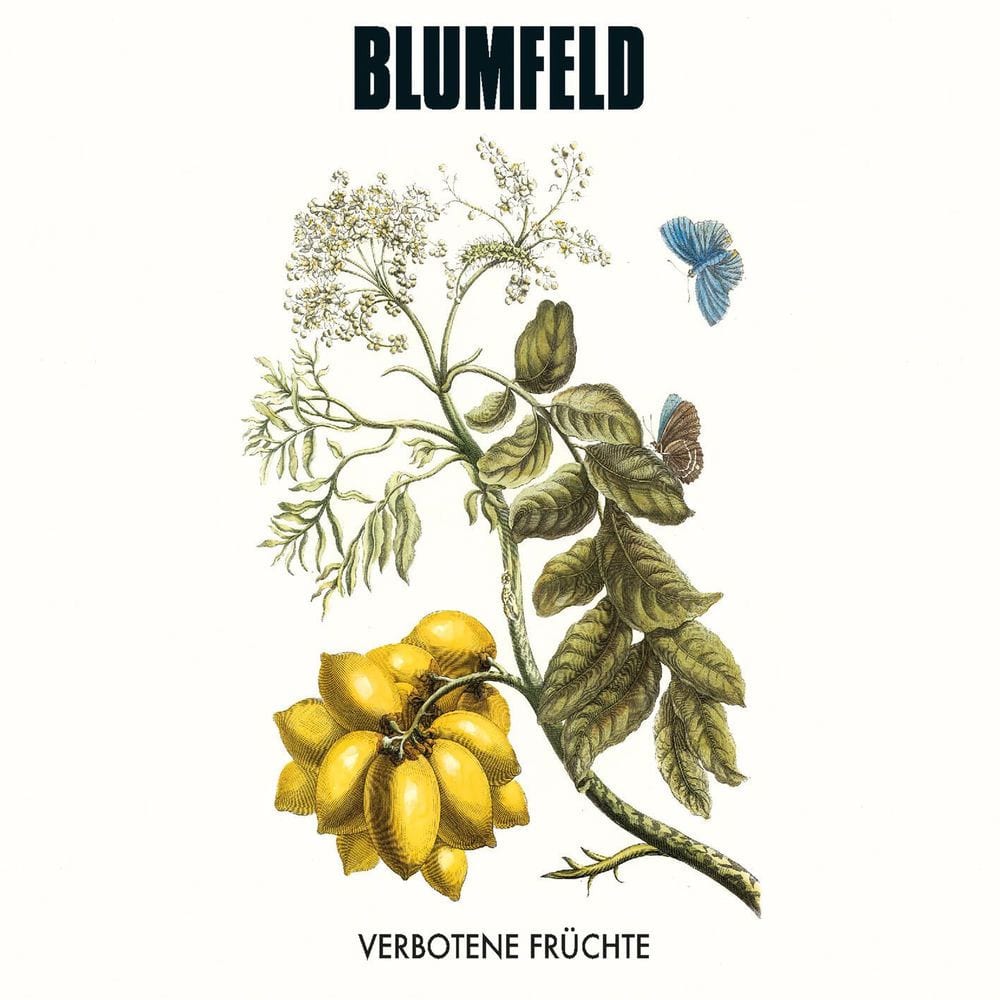 Verbotene Früchte