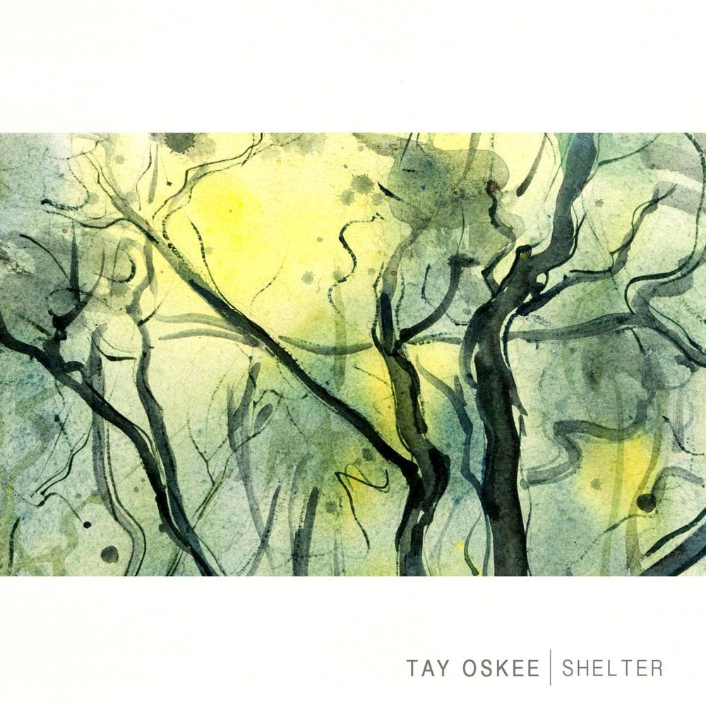 Shelter cover
