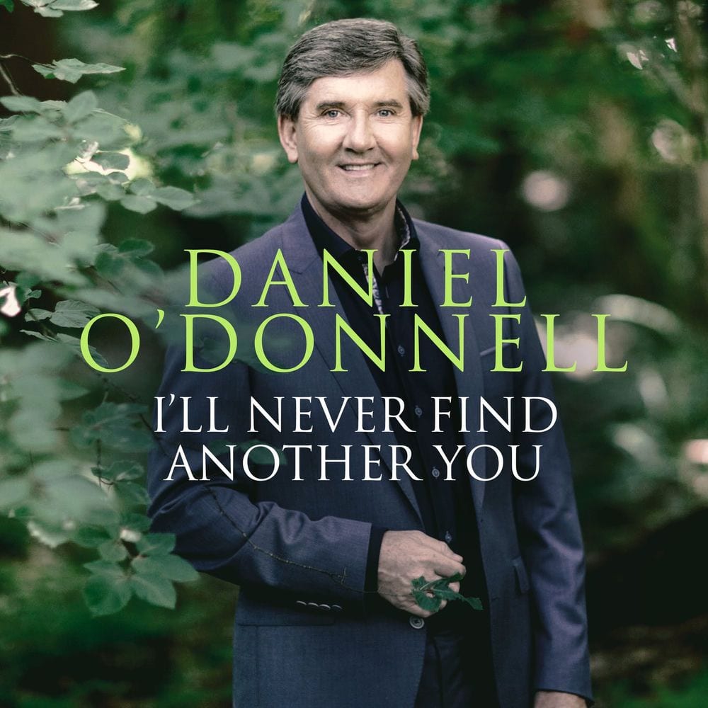 I'll Never Find Another You cover