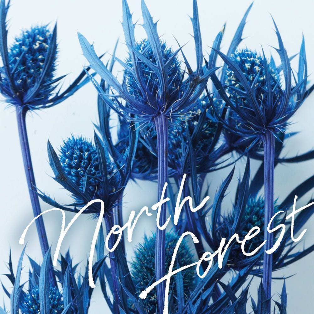 North Forest cover