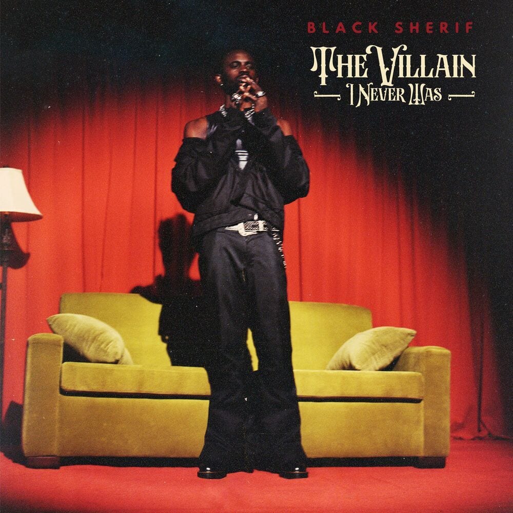 The Villain I Never Was cover