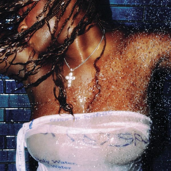 Fountain Baby cover