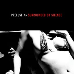 Surrounded by Silence cover art
