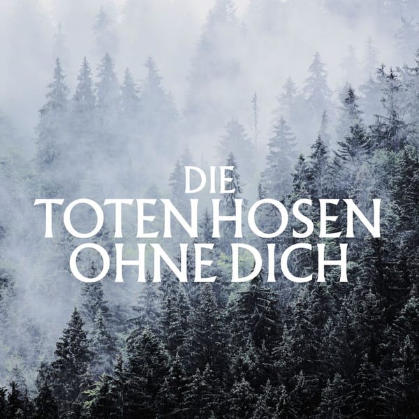 Ohne Dich (Ohne Strom) cover