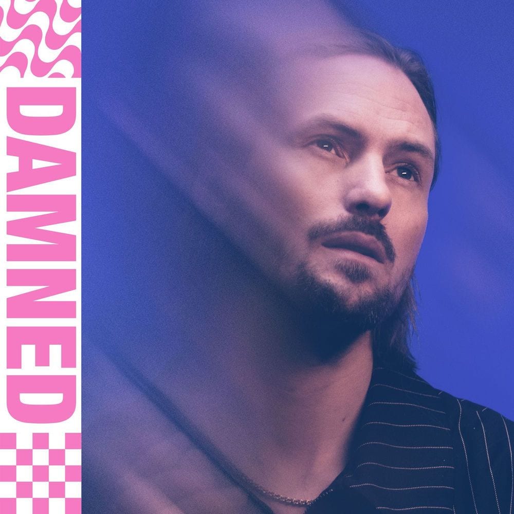 Damned cover